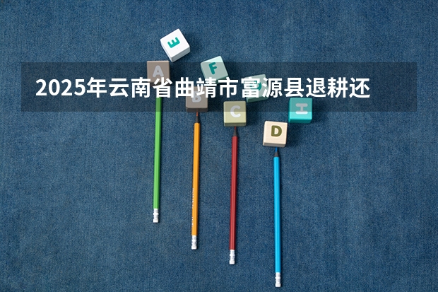 2025年云南省曲靖市富源县退耕还林补贴政策 云南省2025职称评审新规定