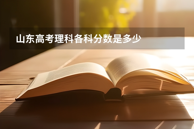 山东高考理科各科分数是多少