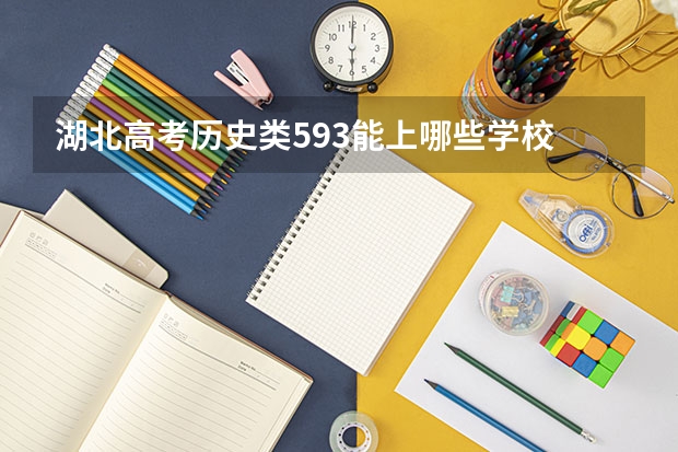 湖北高考历史类593能上哪些学校