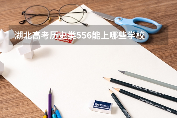 湖北高考历史类556能上哪些学校