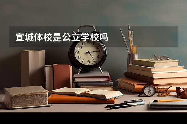 宣城体校是公立学校吗