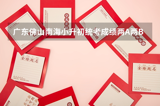 广东佛山南海小升初统考成绩两A两B能上公办吗