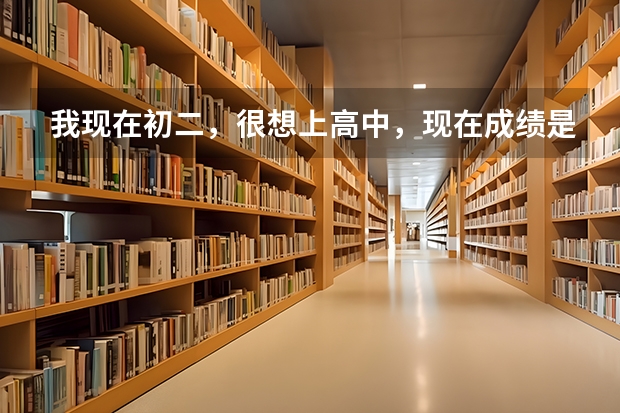 我现在初二，很想上高中，现在成绩是语文85.5 英语90 物理97 政史98 数学67（数学这次失误）满分100（98年高考物理总分）