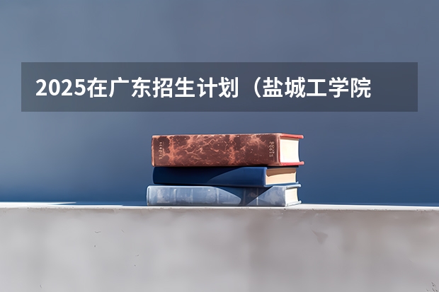 2025在广东招生计划（盐城工学院）