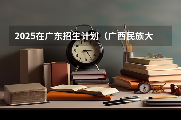 2025在广东招生计划（广西民族大学）